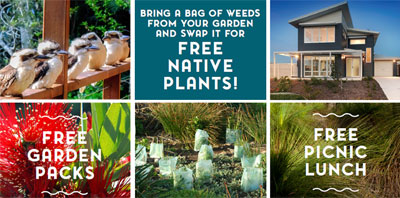 bush-friendly-gardens-weed-control-info-day